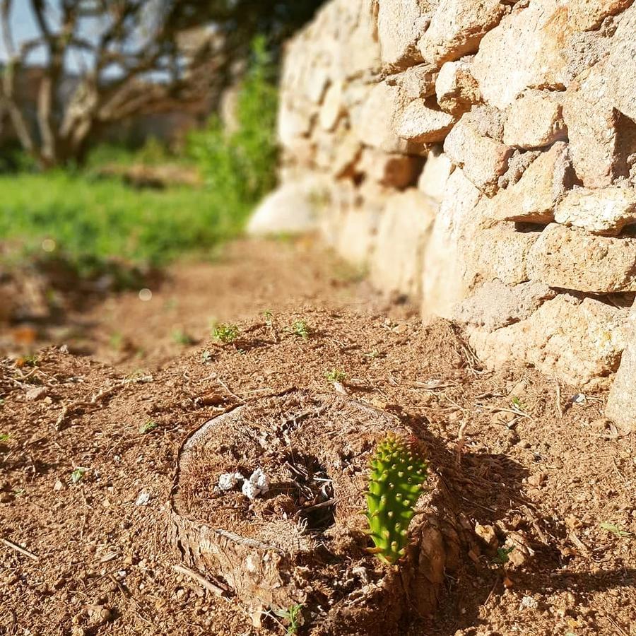 Villa Sprafundu Λα Μανταλένα Εξωτερικό φωτογραφία